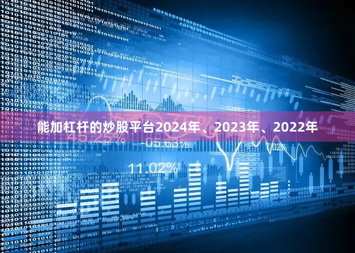 能加杠杆的炒股平台2024年、2023年、2022年